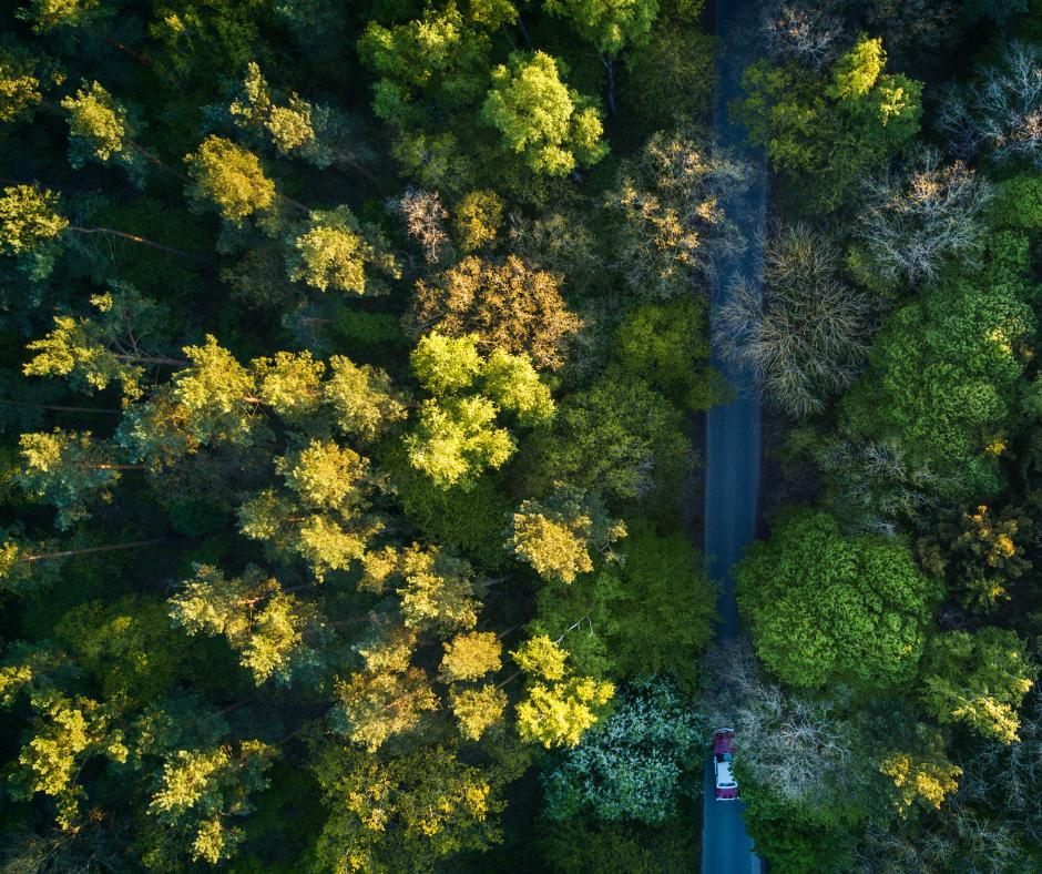 Speciale Ambiente: consigli e novità per il prossimo periodo